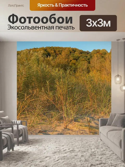 Фотообои Деревья