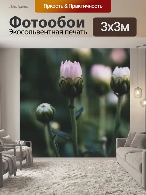 Фотообои Цветы