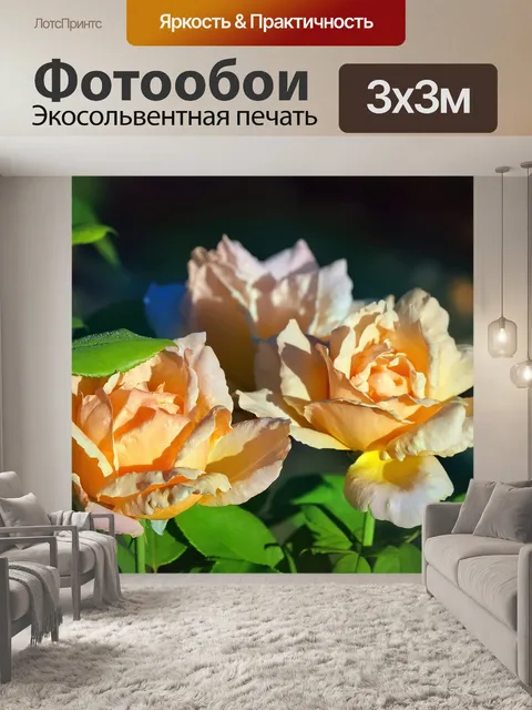Фотообои Розы