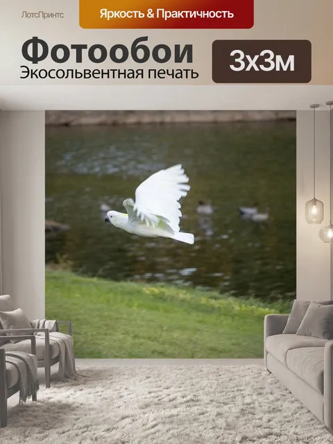Фотообои Птица