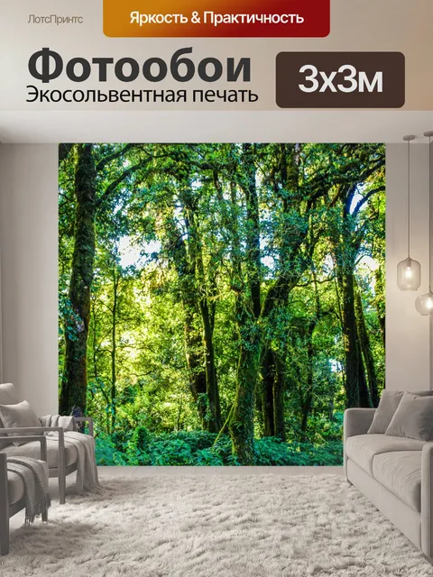 Фотообои Тропический лес в Дои Интанон, Чиангмай