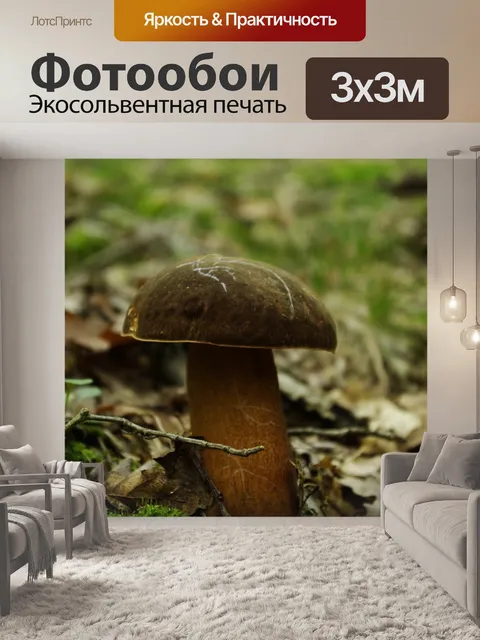 Фотообои Гриб