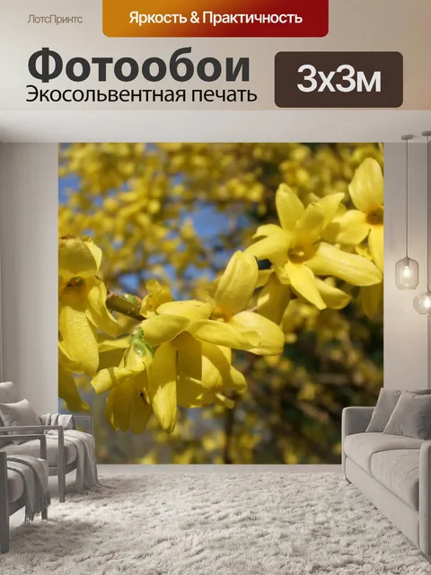 Фотообои Форзиция декоративный кустарник