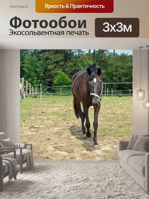 Фотообои Лес
