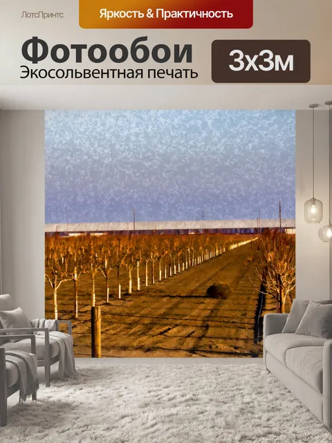 Фотообои Окрашенные Орхидеи