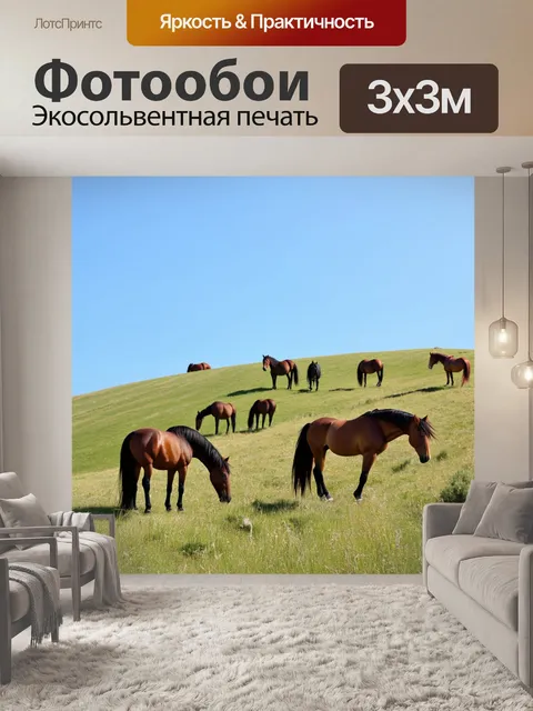 Фотообои лошади, щиплющие траву на склонах холмов, под открытым небом