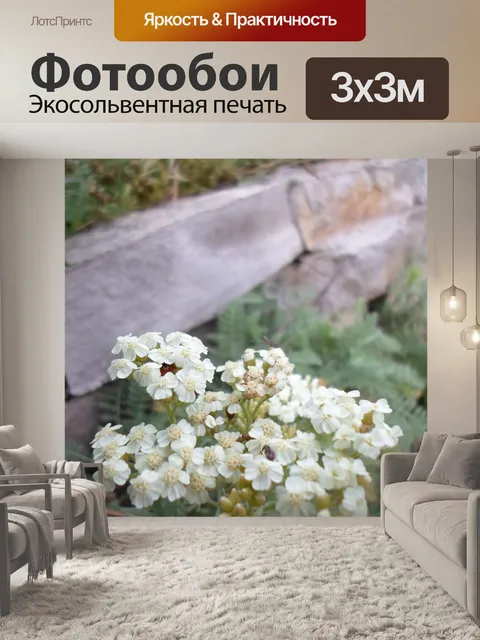 Фотообои Маленький белый цветок листва