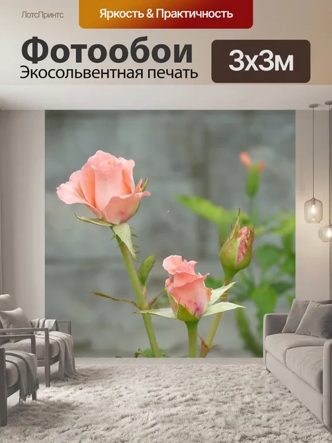 Фотообои Бутон розы