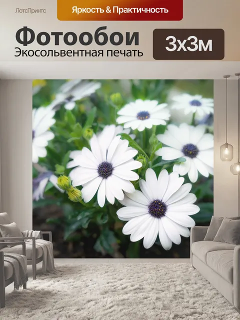 Фотообои Цветы