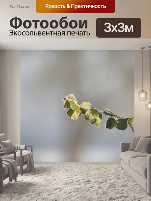 Фотообои Зима