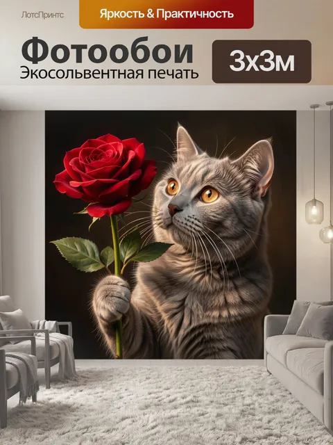 Фотообои Кот с красной розой