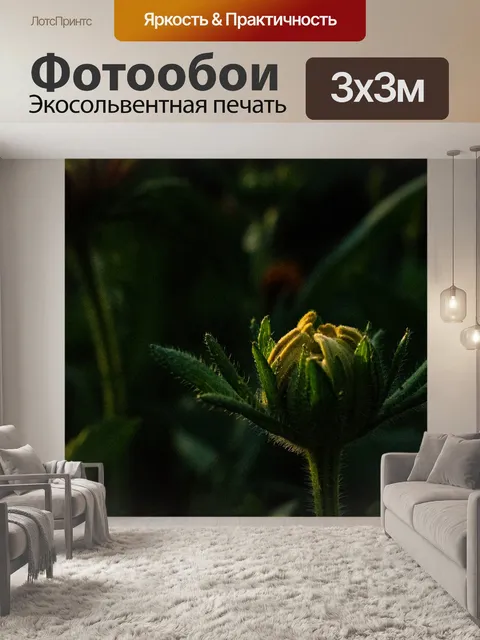 Фотообои Заход солнца