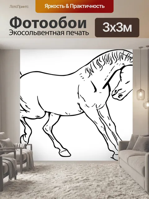 Фотообои Лошадь