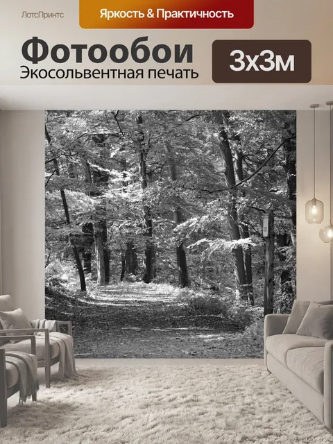 Фотообои Лес