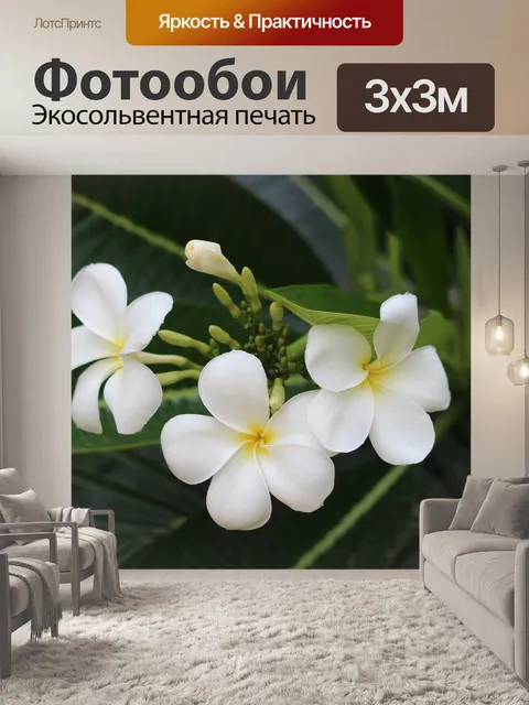 Фотообои Листья