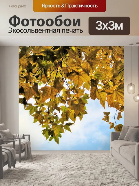 Фотообои платан осенью