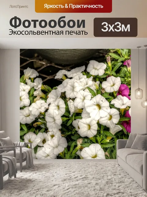 Фотообои Белые цветы