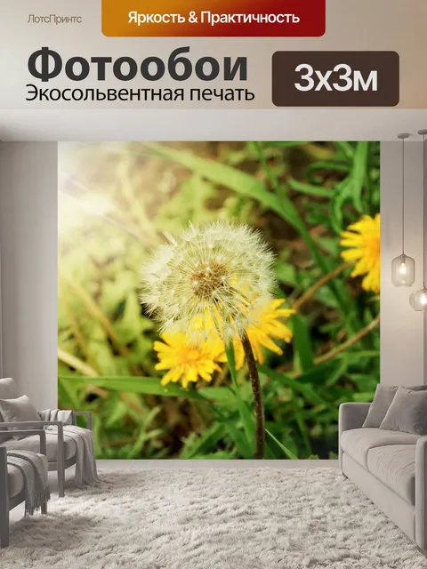 Фотообои Одуванчики