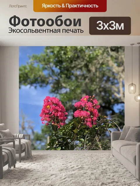 Фотообои Цветы