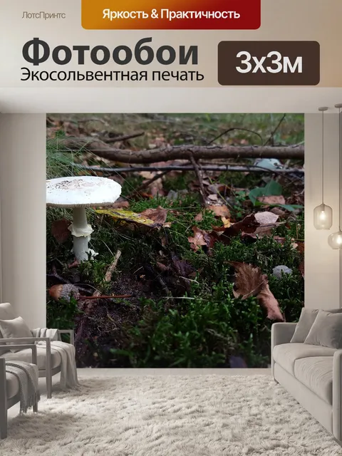 Фотообои Гриб