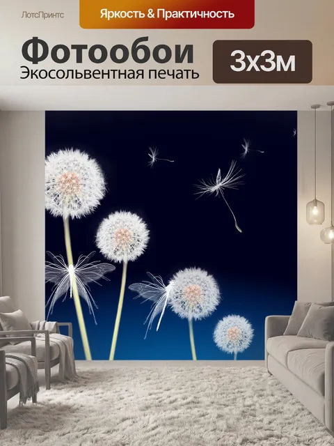 Фотообои Одуванчик