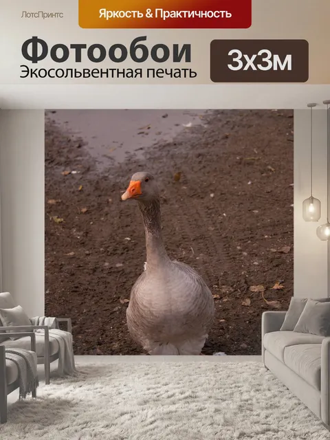 Фотообои Один