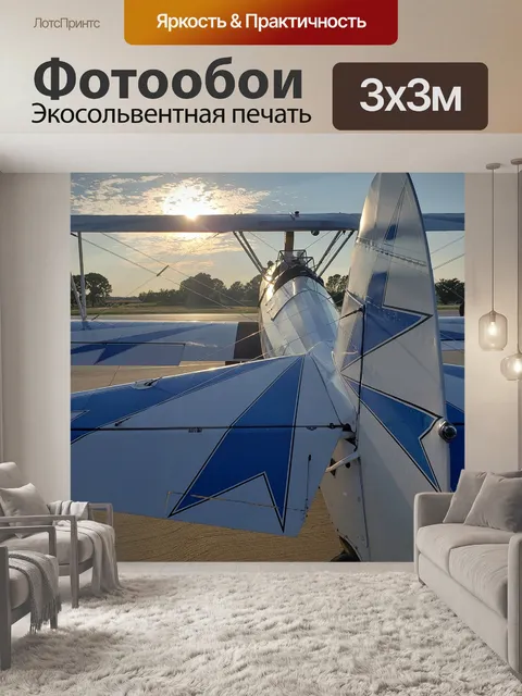 Фотообои Биплан