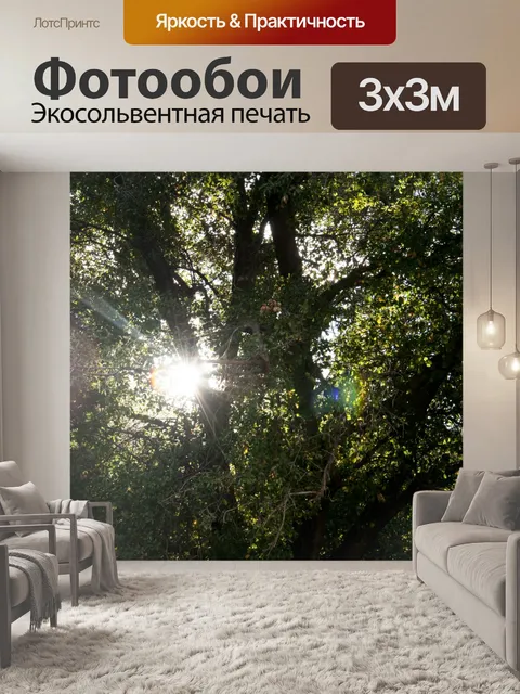 Фотообои Sunburst через деревья