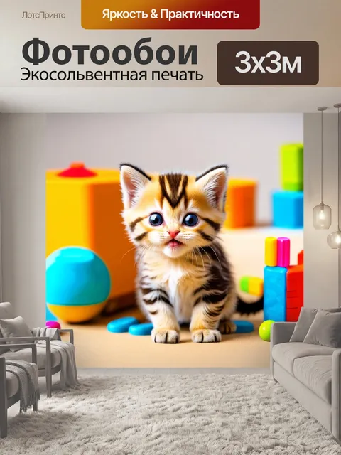 Фотообои очаровательный котенок-фотограф, который с радостью снимает забавные сцены