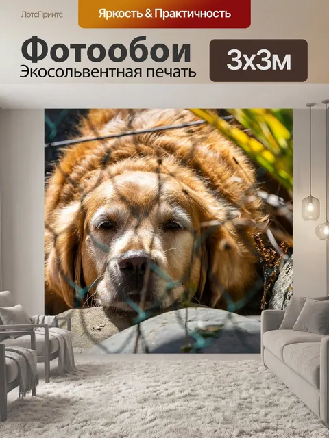 Фотообои Животное