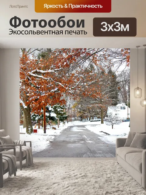Фотообои Зимняя дорога