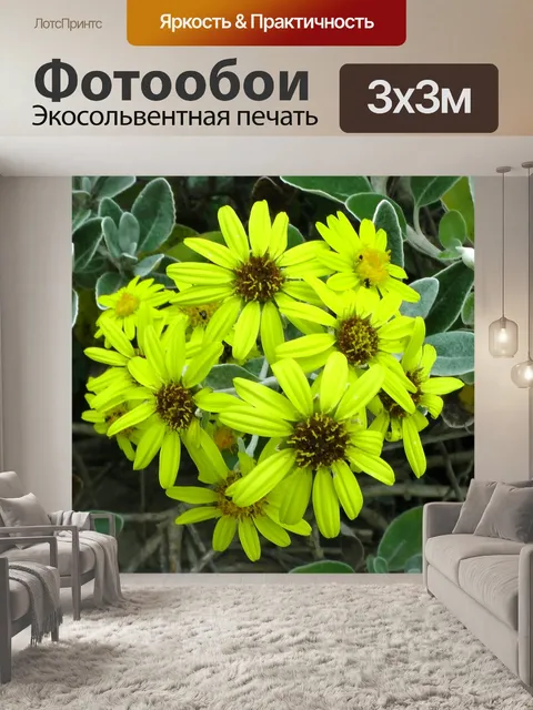 Фотообои Желтые цветы на кусте
