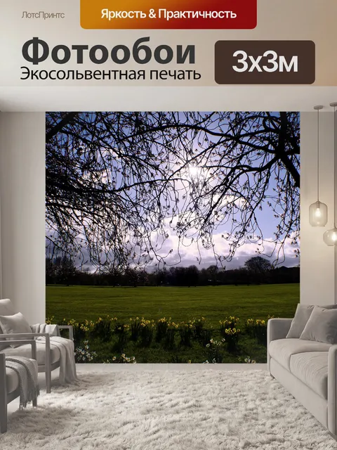 Фотообои Весной парк