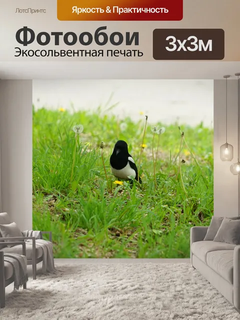 Фотообои Сорока в траве