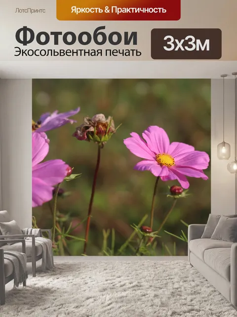 Фотообои Розовый Космос