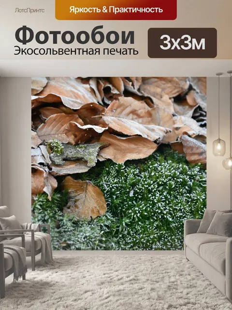 Фотообои Листья