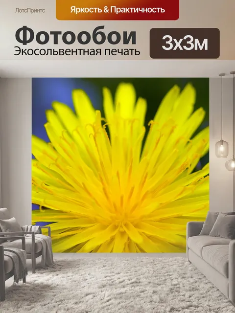 Фотообои Одуванчик