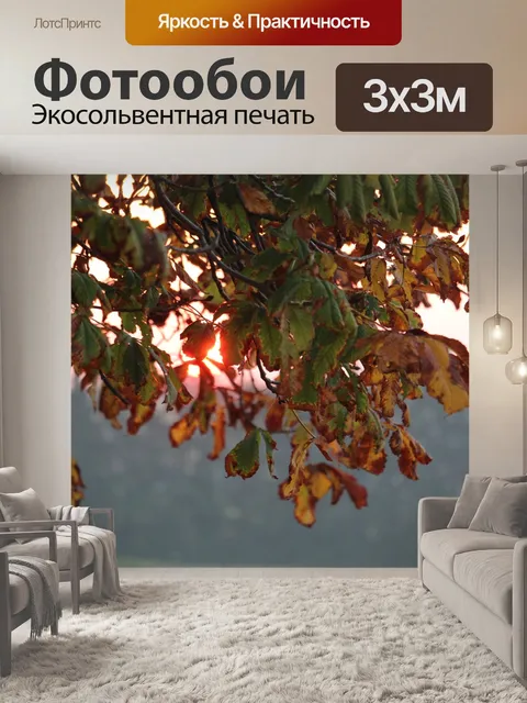 Фотообои Осеннее солнце