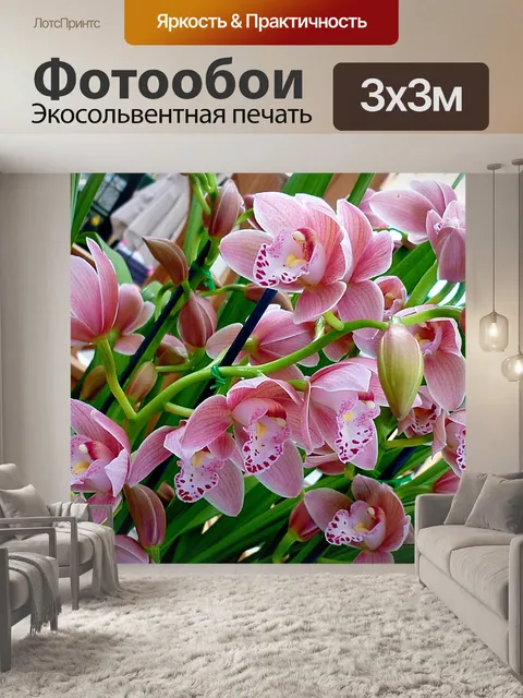 Фотообои Орхидеи