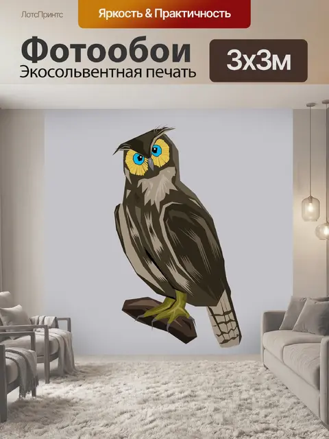 Фотообои Сова