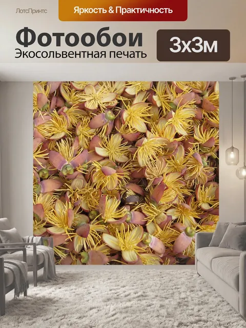 Фотообои Площадка