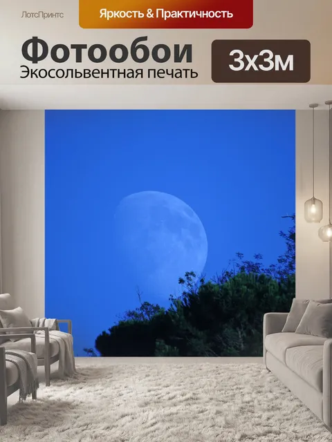 Фотообои Луна