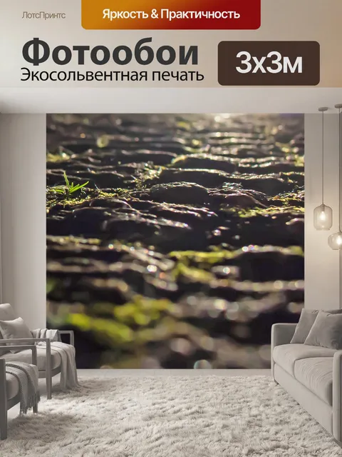 Фотообои Дорога