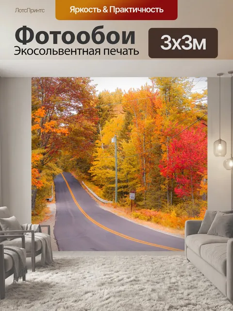 Фотообои Осенний лес с дорогой