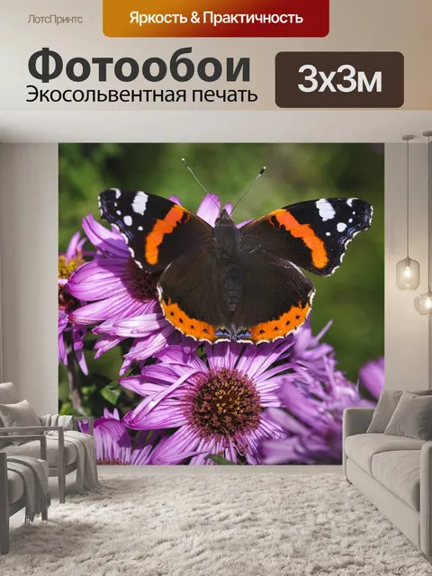 Фотообои Бабочка