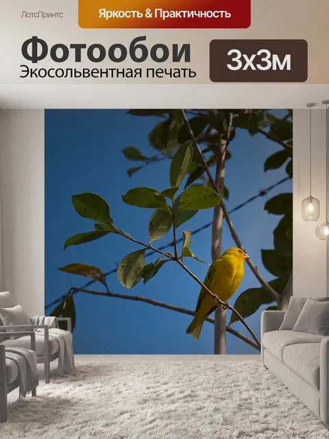 Фотообои Птица