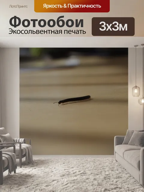Фотообои Многоножка