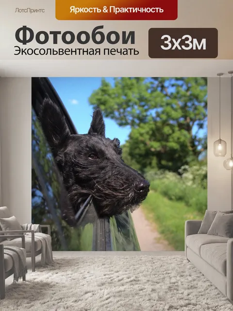 Фотообои Собака