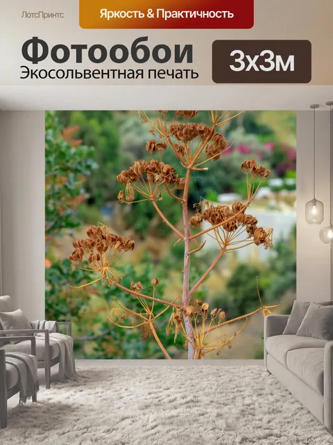Фотообои Природа Крита