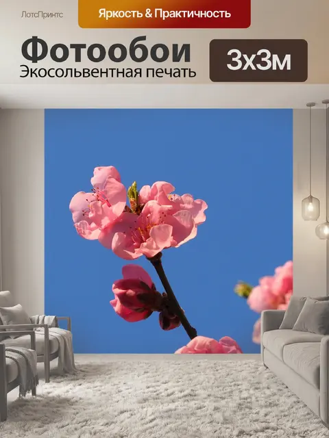 Фотообои Цвести